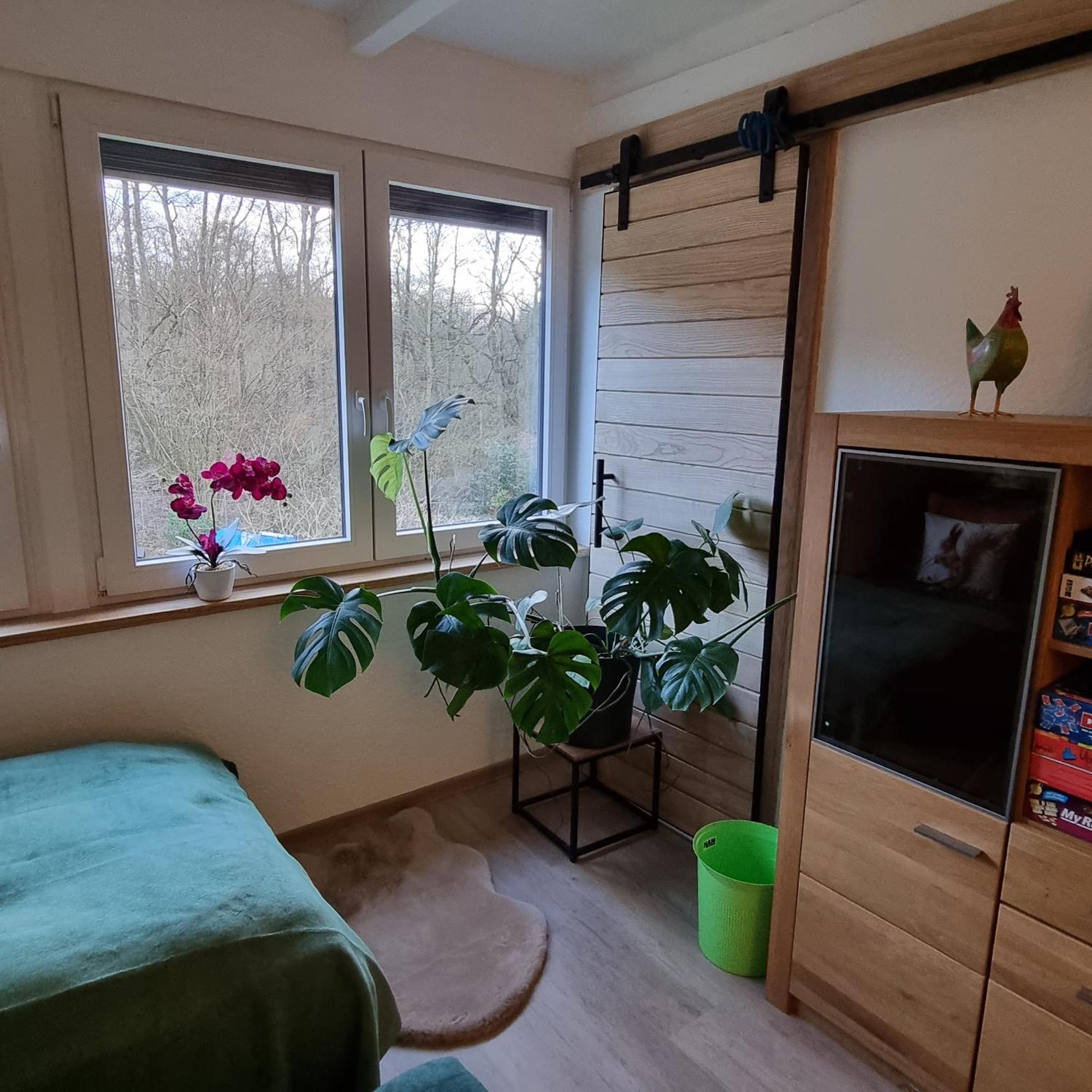 Exklusive Ferienwohnung Hattorfer Teiche Wolfsburg Room photo